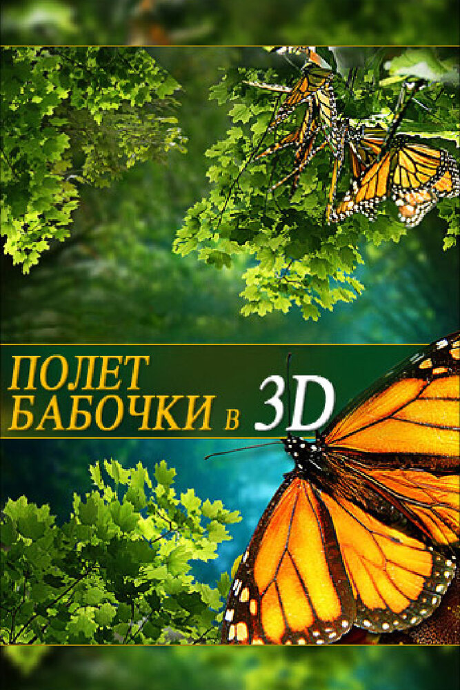 Полет бабочки 3D (2012)